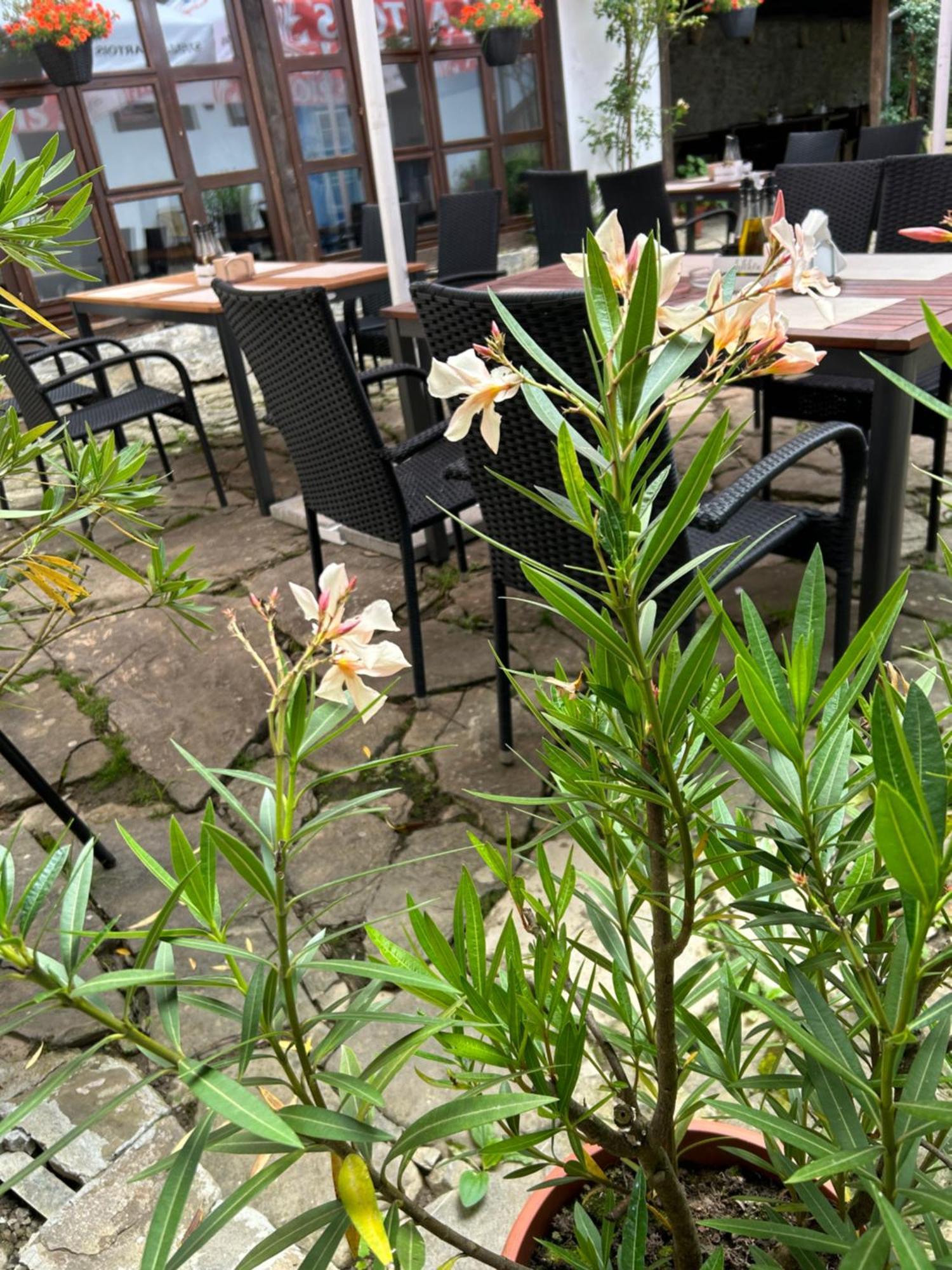 Family Hotel Bile Beli Osŭm Dış mekan fotoğraf