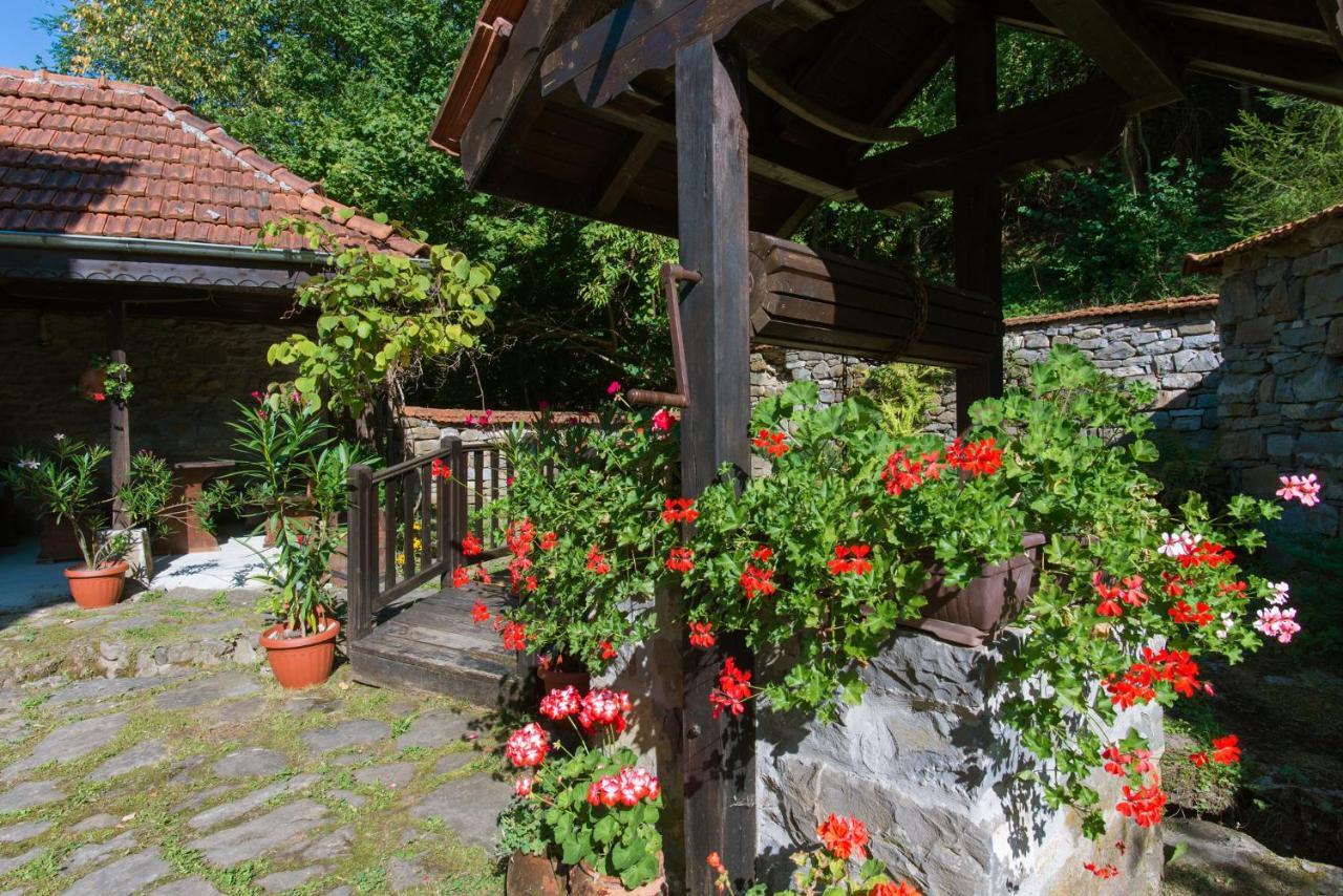 Family Hotel Bile Beli Osŭm Dış mekan fotoğraf